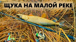 Рыбалка на спиннинг зимой на малой реке. Шикарный обед. Готовка в лесу