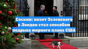 Соскин назвал визит Зеленского в Лондон способом подрыва мирного плана США