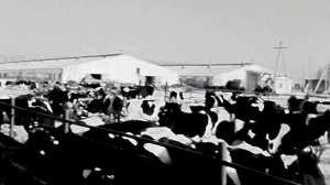 1986 год. Тюменский район. Совхоз Червишевский