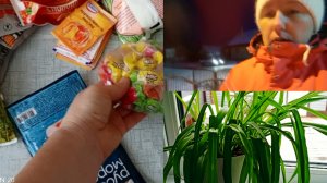 09-12-2025Купили ёлку. 🌲 Покупки 🛒. Пришла настоящая зима ❄️