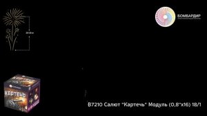 В7210 Салют Картечь Модуль (0,8х16) 181
