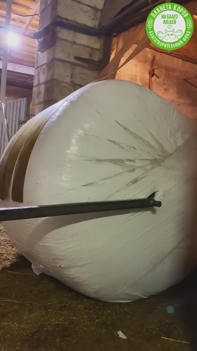 Сильная половина команды фонда придумали, как можно безопасно и быстро доставлять питание в коровник