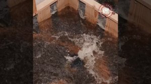 Мужской круг. Наши Игры