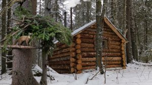 ОХОТА В ТАЙГЕ, ПЕРВАЯ УДАЧА. ПРОВЕРЯЮ ПУТИК, СОБИРАЮ ГРИБЫ!