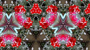 Розы в Зимнюю пору 6 от Киностудии Мудрого Кота Тимофея!