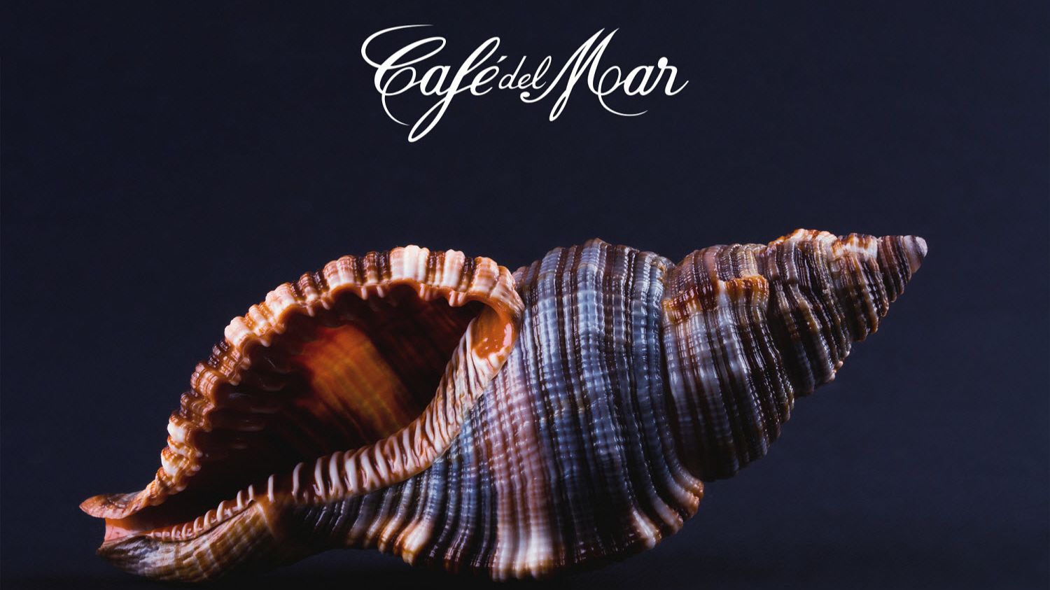 Café Del Mar 2019 - Volumen Veinticinco XXV (2CD)