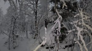 ИЗБА ОПЯТЬ ЗОВЕТ В ПОХОД! РЫБАЛКА НА ОКУНЯ,МОЯ ИЗБУШКА В ТУНДРЕ,НОЧЬ В ЛЕСУ И  МОРОЗ ДО МИНУС 18.