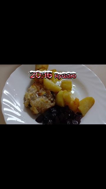 1 день из жизни блогера