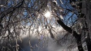 Взлёт судьбы 10 декабря.  Главная тайна дня.