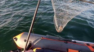 Ловим ТРЕСКУ в Балтийском море