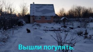 И гуляем и играем, наслаждаемся зимой!