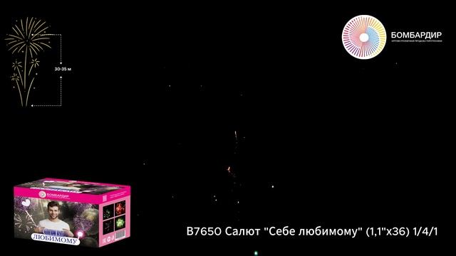 В7650 Салют Себе любимому (1,1х36) 141 смотреть онлайн