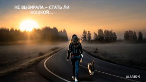 Не выбирала,стать ли кошкой...