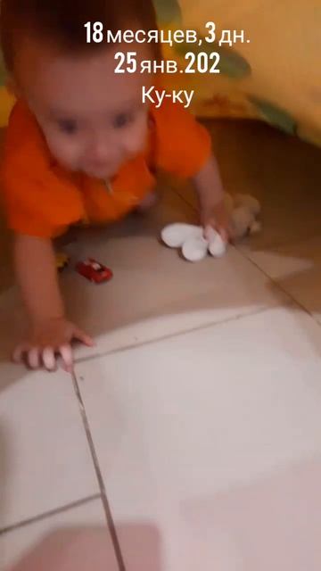 18 мес.,3 дн.Ку-ку (25 янв.2024).mp4