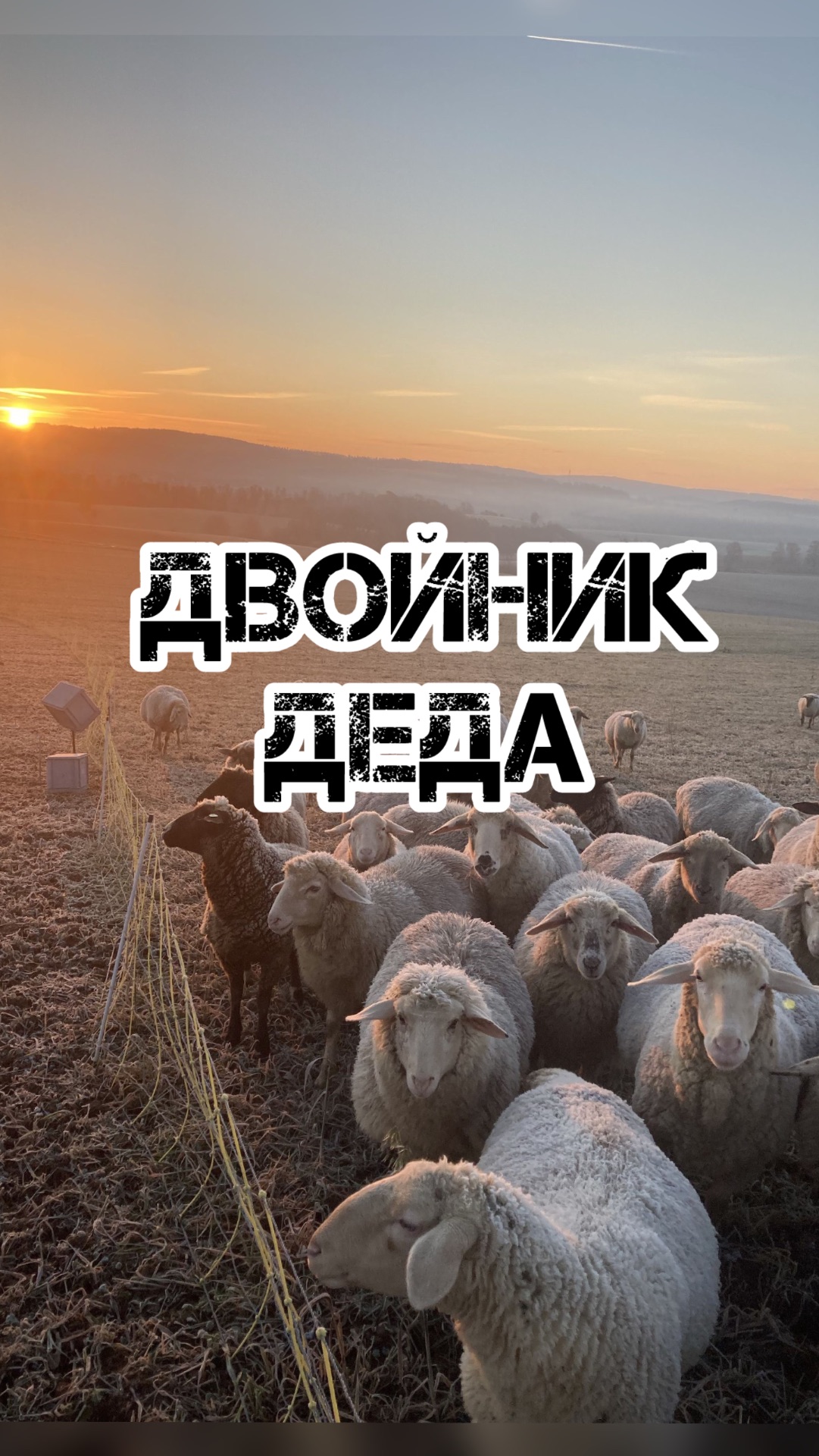 ДВОЙНИК ДЕДА