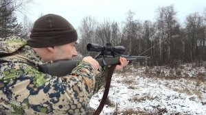 ОХОТА НА ЛОСЯ С ПОДХОДА 🫎2025