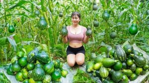 Пропалываем кукурузу на поле — собираем много тыквы, чтобы продать на деревенском рынке ｜ Ферма Нхат