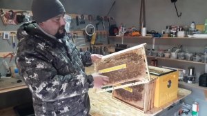 Правила Весеннего Старта Пчёл!!!