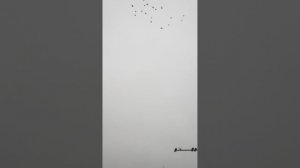 VID_20251209_121532.mp4