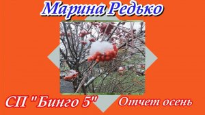 СП "Бинго 5" / Отчет осень