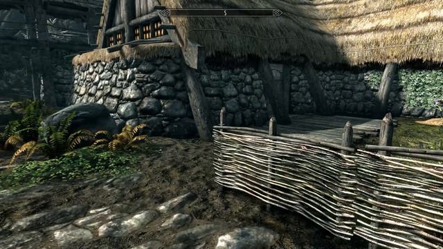 The Elder Scrolls V Skyrim часть 1
