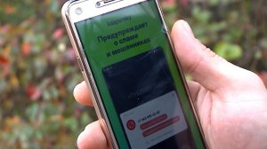 Мытищинцев предупреждают о новых способах мошенничества