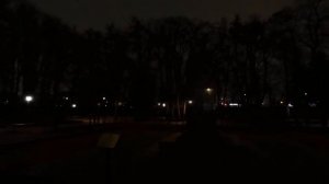 Калининская линия