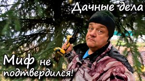 Теплый декабрь на даче: время для полезных дел!