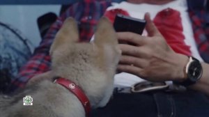 Замена у киллеров. Фрагмент из сериала "Реализация".