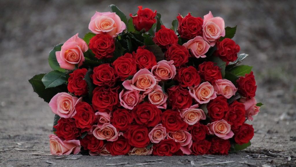 Прием поставки и хранение цветов