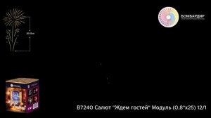 В7240 Салют Ждем гостей Модуль (0,8х25) 121