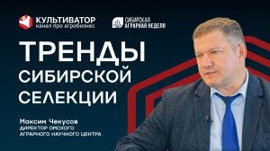 Почему за сибирской пшеницей стоят в очереди? | Максим Чекусов | Омский аграрный научный центр