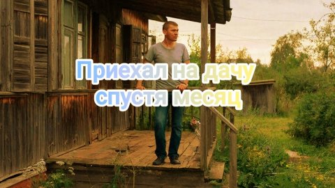 Приехал на дачу спустя месяц | Дачный Вайб | Дача | Отдых на природе | Сельский туризм | Отдых