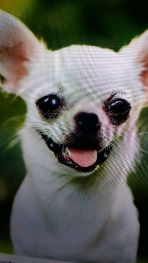 Извините ребят у меня прервалась сеть продолжение здесь