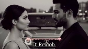 Dj Remob - Гордая мадам, давай устроим балаган