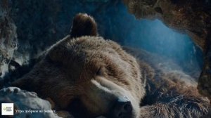 ПРЕМЬЕРА ПЕСНИ "Утро добрым не бывает".