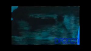 Pablo the little red fox intro render pack collection extended^11