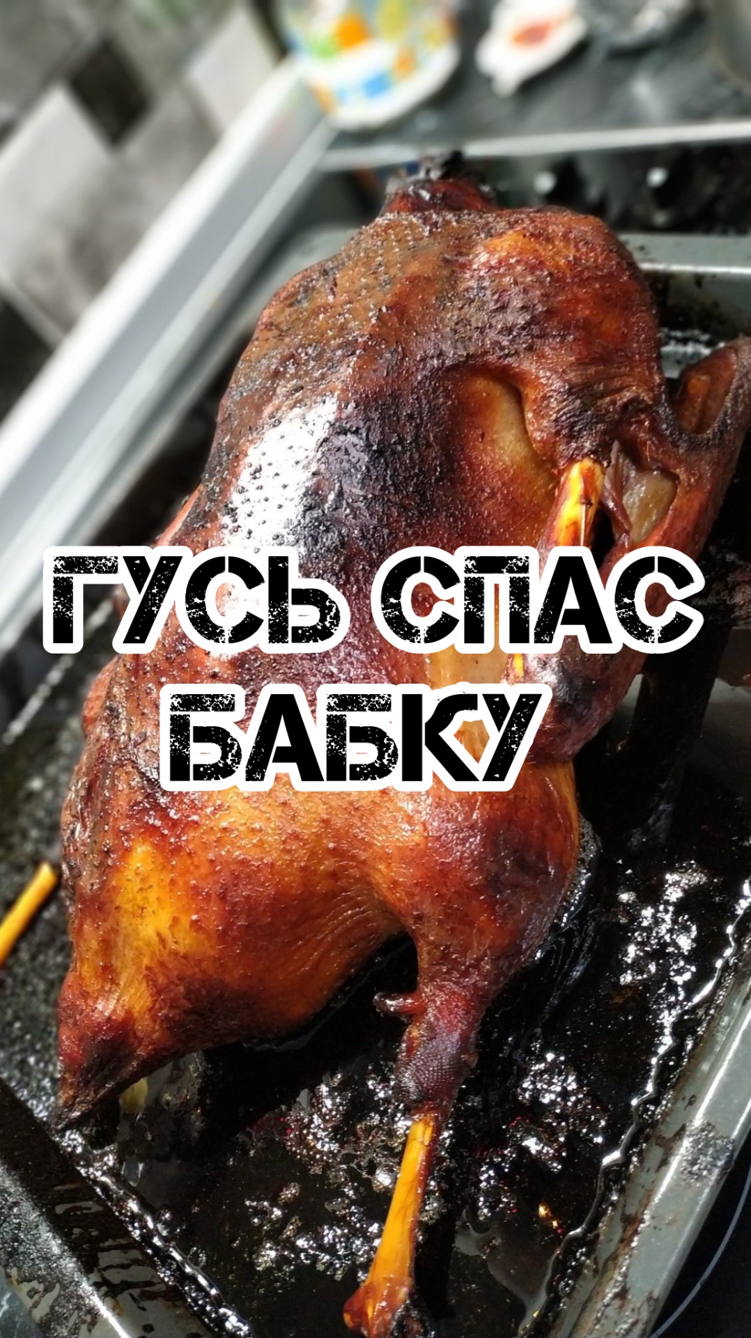 ГУСЬ СПАС БАБКУ