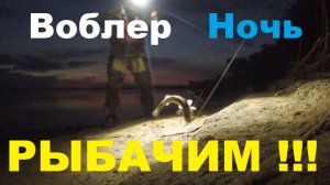 Воблер. Ночь. РЫБАЧИМ☝️🎣!!!