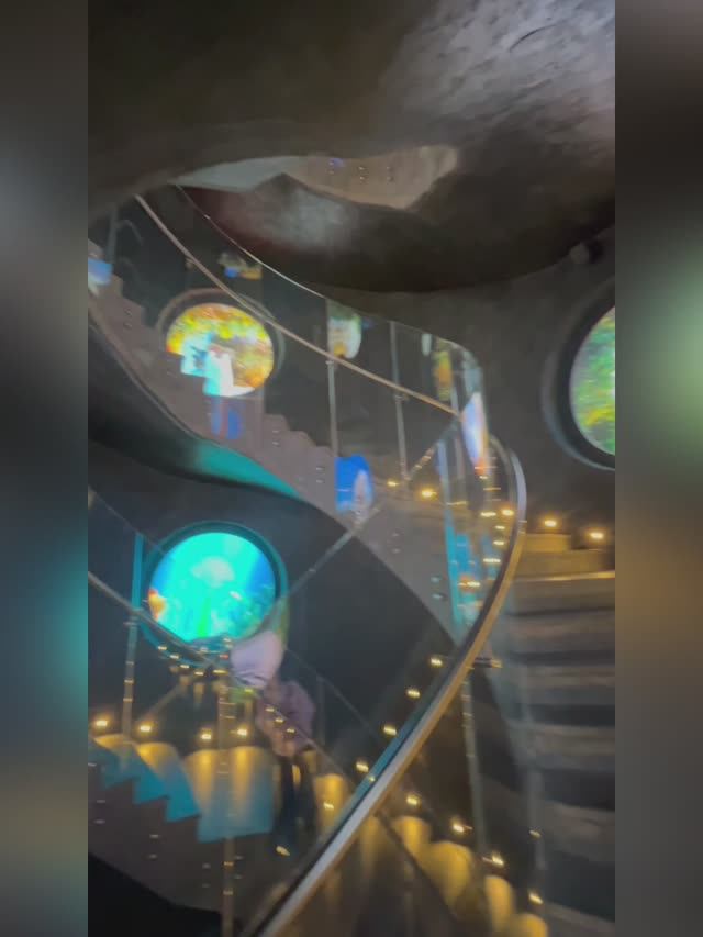 Парк Галицкого. Краснодар. 05.12.2025 смотреть онлайн