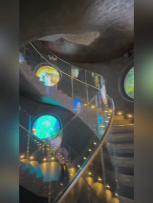 Парк Галицкого. Краснодар. 05.12.2025