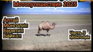 Мотопутешествие 2025. Часть 5. Монголия. Знакомство со страной.