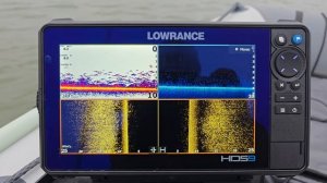 ОГРОМНАЯ стая мирной рыбы в эхолоте 👍