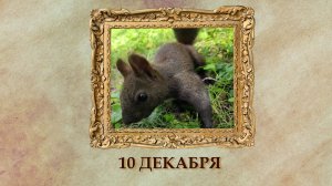 БЫЛО! Историческая рубрика от 10.12.2025