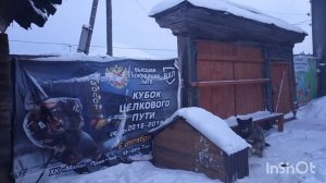 9-12-2025. Жизнь в деревне. Настряпала пироги.