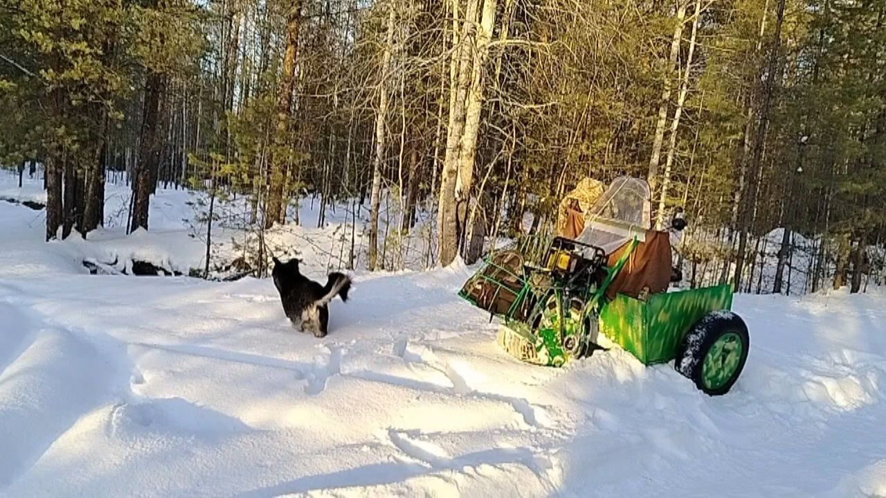 Поездка в лес на одноколёсном снегоходе