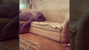 В фильме снимаются Мишки Тедди...)))