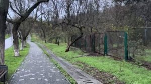 ОДЕССА 9 ДЕКАБРЯ 2025. ИМП0ТЕНТЫ ЕВРОСОЮЗА! У РФ ХВАТИТ ДЕ