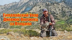 Гималайский Улар - Дневник Охотника за Птицами