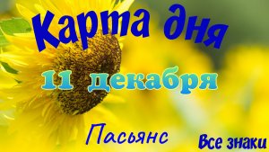 Карта дня❄11 декабря🎄☃️Пасьянс. Тайм-код в описании🦢